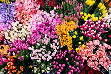 网飞游戏平台明日上线 首批包含怪奇物语等5款游戏