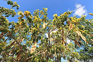 最新市场调研报告 美国年轻玩家游戏支出较去年同期减少25%