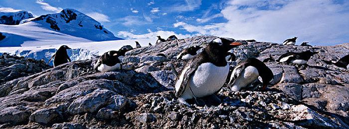 《Fate＆stay night》重制版主艺图公开 年内登陆 Switch＆Steam